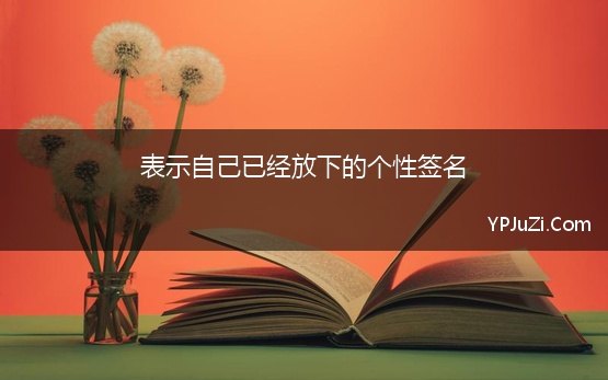 表示自己已经放下的个性签名 这段感情我放下了的个性签名