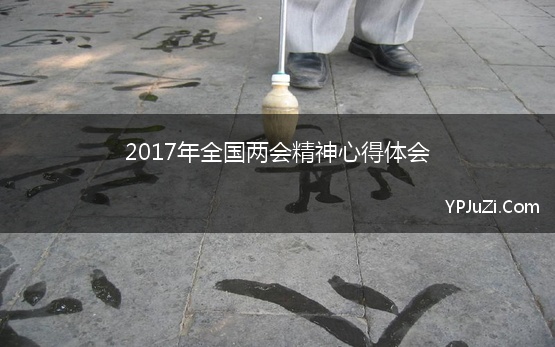 2017年全国两会精神心得体会