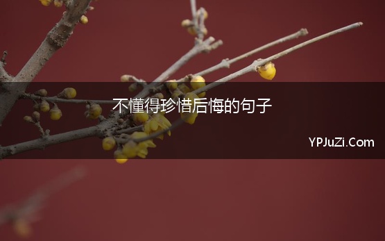 不懂得珍惜后悔的句子