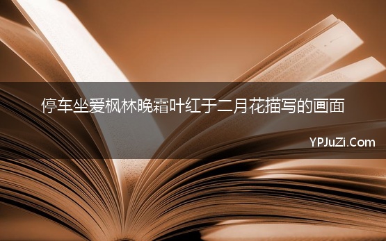 杜牧的诗句霜叶红于二月花指的是什么的枫叶