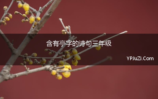 含有亭字的诗句三年级 小学三年级带有雪字的诗句摘抄