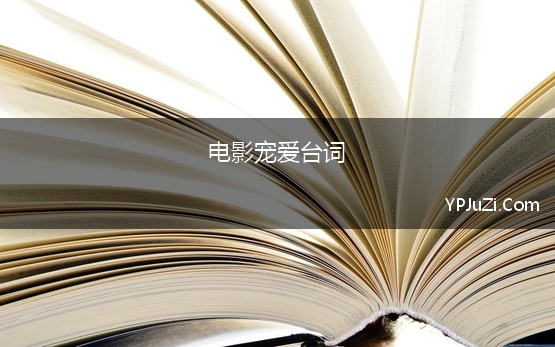 电影宠爱台词 电影《宠爱》经典对白片段台词、语录大全