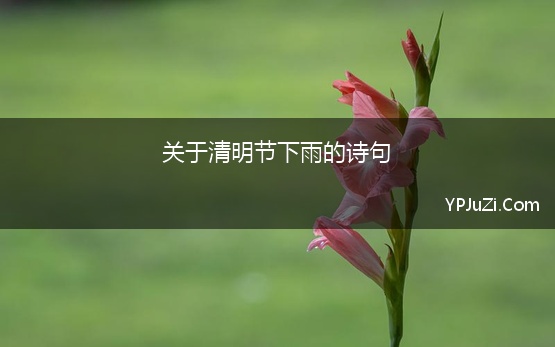 关于清明节下雨的诗句