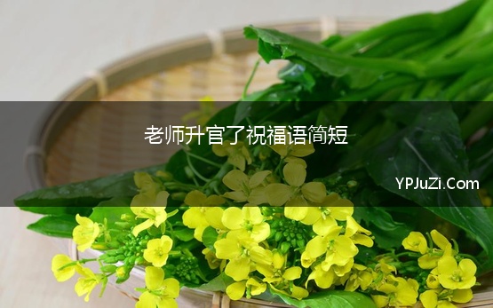 老师升官了祝福语简短