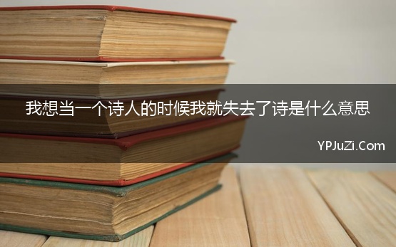 我想当一个诗人的时候我就失去了诗是什么意思【精选】