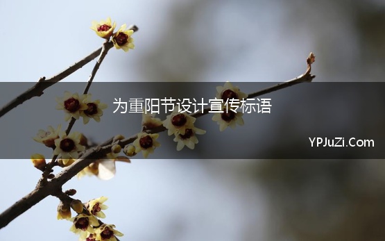 为重阳节设计宣传标语(重阳节宣传标语)