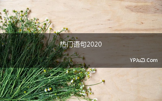 热门语句2020【精选】