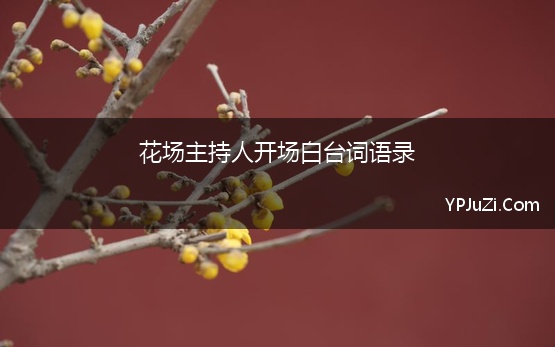 花场主持人开场白台词语录