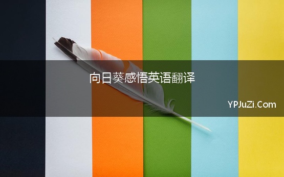 向日葵感悟英语翻译 关于向日葵的英文句子