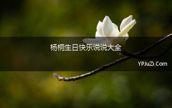 杨桐生日快乐说说大全