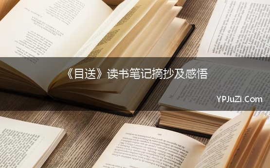 《目送》读书笔记摘抄及感悟 《目送》经典语录读书笔