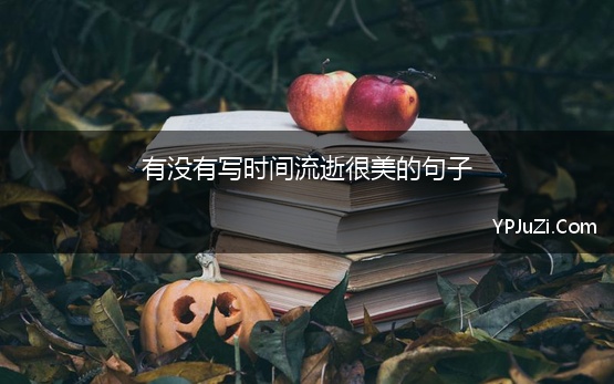 表示时机的句子是什么意思