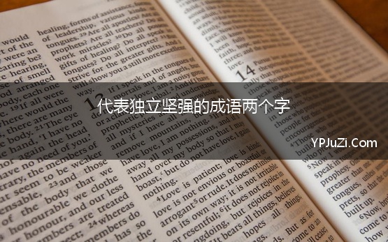 代表独立坚强的成语两个字