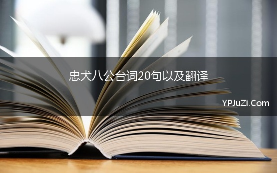 忠犬八公台词20句以及翻译