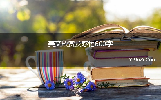 美文欣赏及感悟600字 经典美文摘抄加感悟