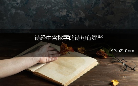 诗经中含秋字的诗句有哪些