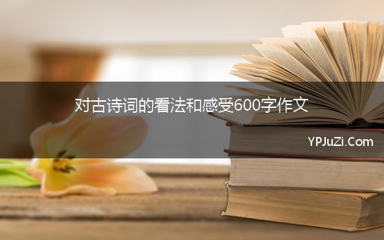 对古诗词的看法和感受600字作文