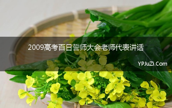 2009高考百日誓师大会老师代表讲话【精选】