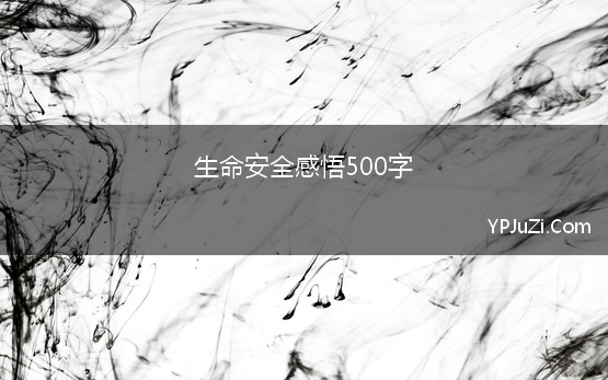 生命安全感悟500字 安全教育心得感悟500字左右