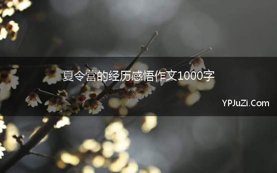 夏令营的经历感悟作文1000字