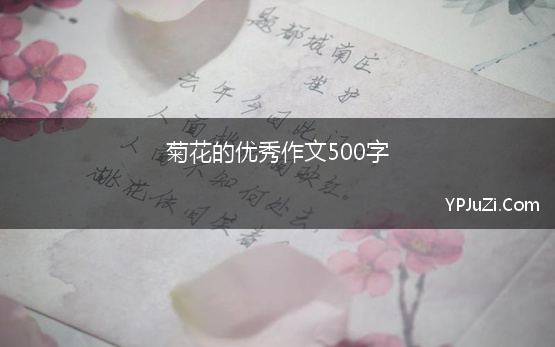 菊花的优秀作文500字 菊花的作文500字