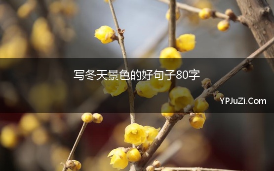 写冬天景色的好句子80字