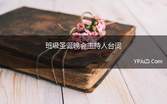 班级圣诞晚会主持人台词