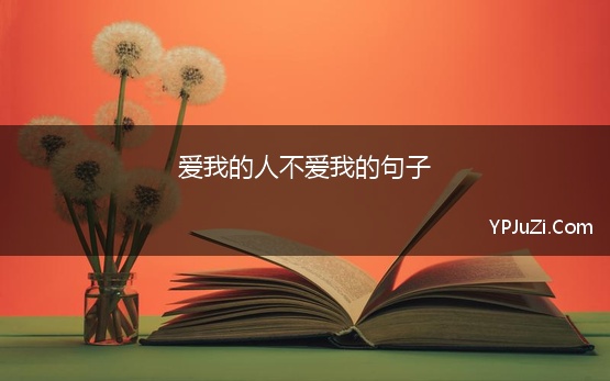 爱我的人不爱我的句子 有哪些表达“爱不动了”的古诗句