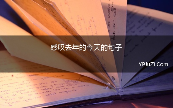 感叹去年的今天的句子(感叹去年今年同一天的句子148句