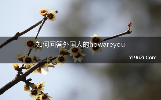 如何回答外国人的howareyou【精选】