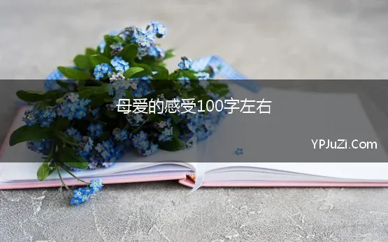 母爱的感受100字左右 对母爱的作文300字