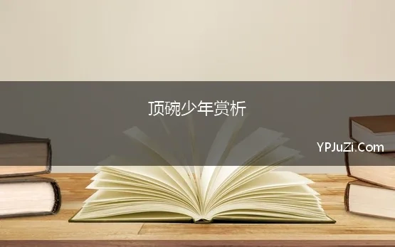 顶碗少年赏析 人教版小学六年级语文下册4顶碗少年教案