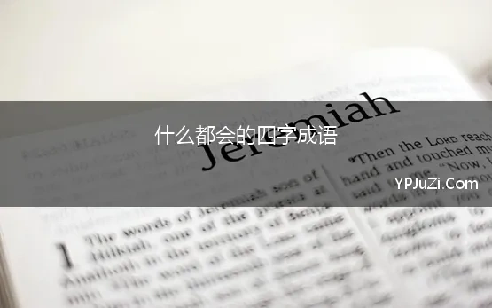 什么都会的四字成语 形容什么都会一点点的四字成语