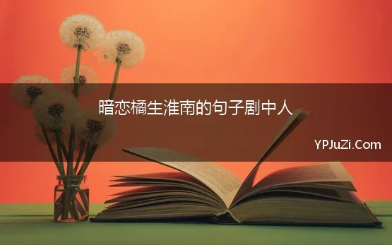 暗恋橘生淮南的句子剧中人(暗恋橘生淮南里面的句子)