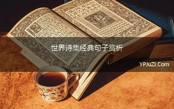 世界诗集经典句子赏析 泰戈尔经典语句欣赏解析