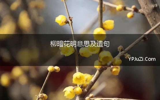 柳暗花明意思及造句 柳暗花明造句怎么造造句