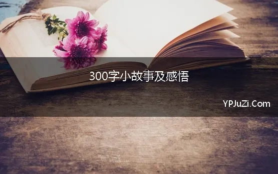 300字小故事及感悟