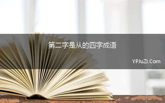 第二字是从的四字成语