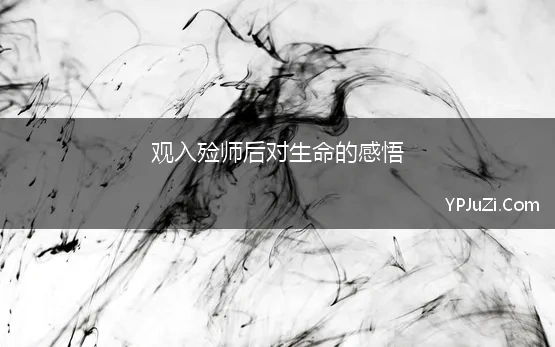 观入殓师后对生命的感悟