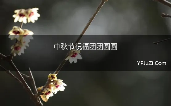 中秋节祝福团团圆圆(2023中秋节团圆祝福寄语说说)