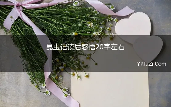 昆虫记读后感悟20字左右(昆虫记读后感悟200字)