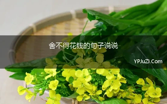 舍不得花钱的句子说说