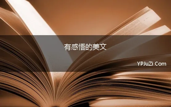 有感悟的美文 人生美文感悟人生6篇