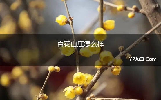 百花山庄怎么样