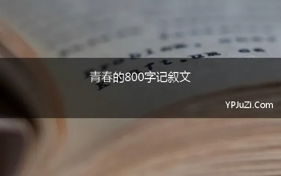 青春的800字记叙文