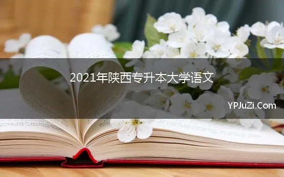 2021年陕西专升本大学语文【精选】