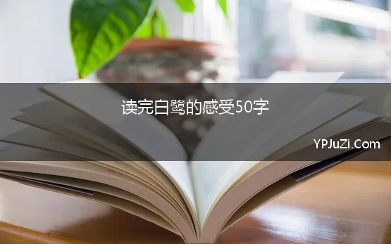 读完白鹭的感受50字