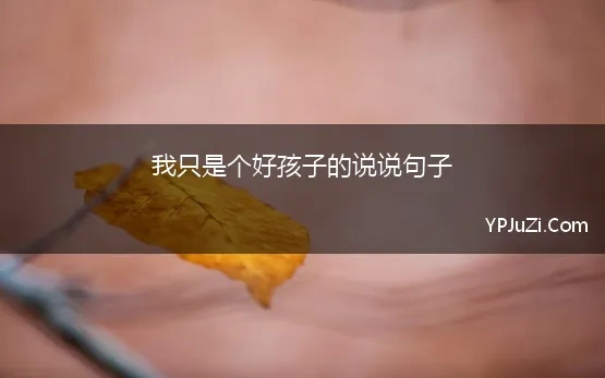 我只是个好孩子的说说句子