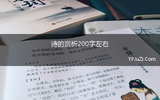 诗的赏析200字左右