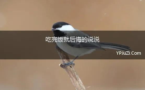 吃完饭就后悔的说说